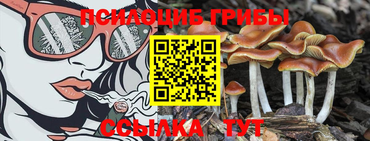 Спасск-Дальний  Галлюциногенные грибы ЛСД  Вход с VPN 